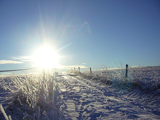 winter sun